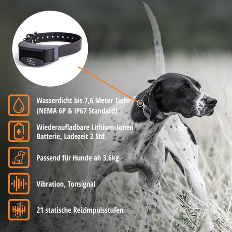 Tele Takt »sportDog« Handgerät & Halsband · 1,2km, 21-stufig