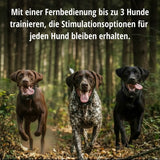 Teletac »sportDog« Handgerät & Halsband · 700m, 7-stufig