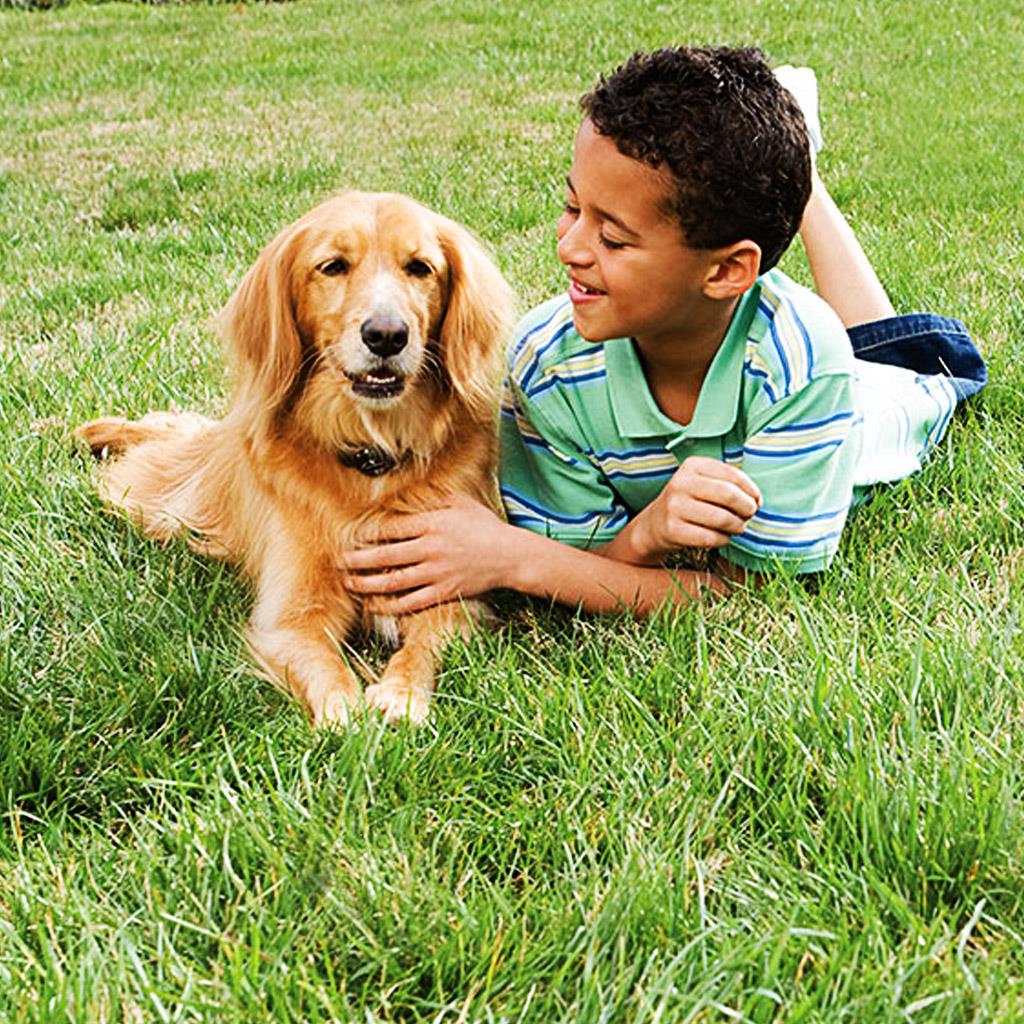 Unsichtbarer Hundezaun »Deluxe« erweiterbar auf 10ha · ab 2,3kg