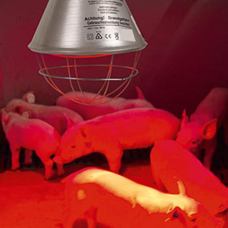 Stalllampe »Classic« für Infrarotbirne, Infrarotstrahler · 2,5m -5m