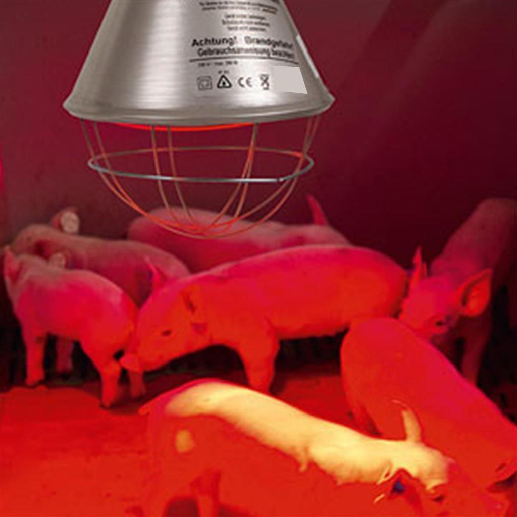 Stalllampe »Plus« für Infrarot Rotlicht · Sparschalter, 2,5m oder 5m